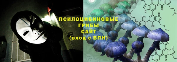 винт Алексин
