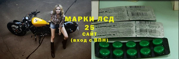 сатива Алзамай