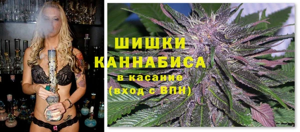 сатива Алзамай
