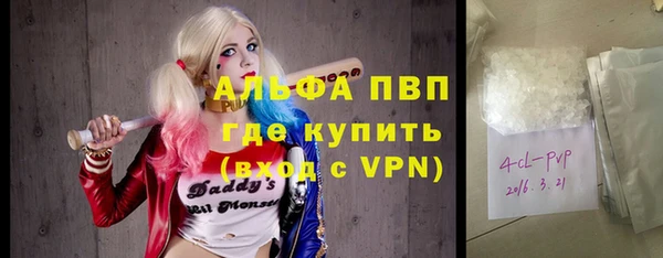 сатива Алзамай